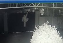 В Бишкеке задержали серийных домушников. Они попали на камеру наблюдения