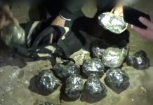 Наркоборцы выявили канал поставок тяжелых наркотиков в КР из соседних стран