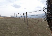 Чек арада асманга карай ок атылды