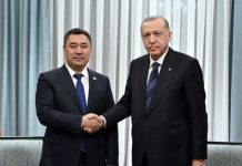 В Стамбуле состоялась встреча Жапарова и Эрдогана. Что обсудили