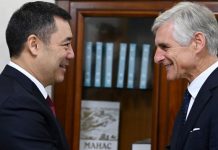 Кыргызстан хочет сотрудничать с Австрией по строительству больших и малых ГЭС