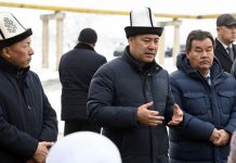 Земли жителей близ столичной ТЭЦ-2 скоро будут узаконены. Президент дал поручение