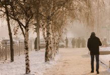 Коронавирус дагы 52 адамдан аныкталды, 3 бейтап каза тапты