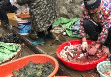 Ученые вычислили «нулевого пациента», с которого началась пандемия COVID-19