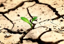 Эксперты: Последствия изменения климата для стран ЦА будут удручающими