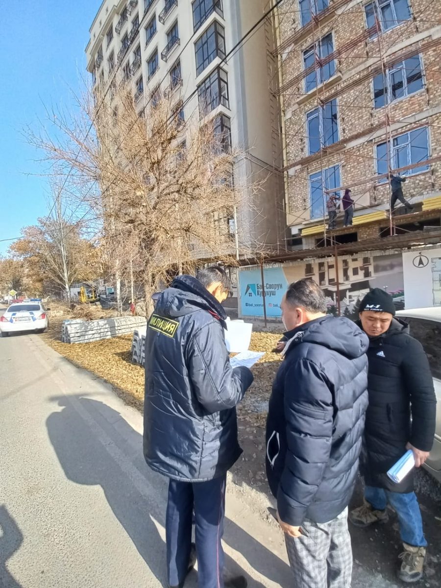 whatsapp image 2021 11 10 at 14 31 51 В Бишкеке стройкомпанию оштрафовали на 13 тысяч за вырубку дерева
