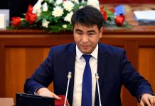 Жанар Акаев депутат болот