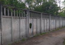 Кабмин обещает до весны реконструировать ботсады в Бишкеке