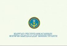 Өзгөчө кырдаалдар министрлигинин жобосу жана башкаруу схемасы бекитилди