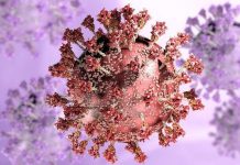 «Омикрон»: что известно о новом штамме COVID и как от него защититься?