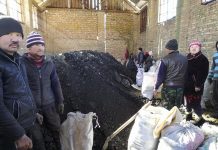 Президенттин тапшырмасы менен Нарындын аялуу катмарына акысыз көмүр таратыла баштады