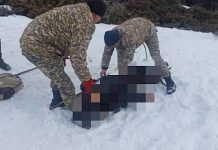 Көл-Төр көлүнө чыккан турист каза болду