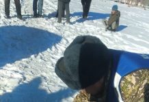 Нарын дарыясына асма көпүрөдөн кулап кеткен адамдын жансыз денеси табылды