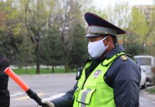 Патрульным вернули жезлы из-за роста ДТП