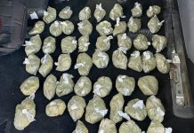 СБНОН ликвидировала крупный наркоканал. Среди задержанных две женщины