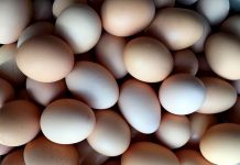 Аткезчилик жолу менен ташылып келген тоок жумурткасы жок кылынды