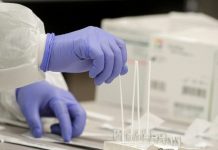 Вирусолог назвал штамм «омикрон» живой вакциной