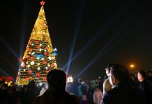 В Оше зажгли главную елку. Как она выглядит? ФОТО