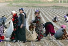 Как поменялось население Центральной Азии за 30 лет