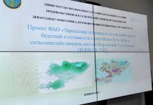 ӨКМге караштуу Гидрометеорологиялык кызматынын директору дайындалды