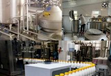 Жалал-Абадда 100 тонна сүттү кайра иштетүүчү ишкана ачылат