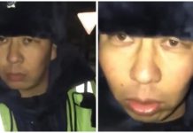 Патрульные снова отличились. Водителя обозвали «терпилой»