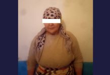 Бирөөнүн жер тилкесин ээлеп алуу жана алдамчылык фактыларына шектүү аял кармалды