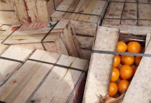 Чек арадан мыйзамсыз өткөрүлүп жаткан жүктөргө бөгөт коюлду