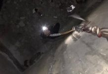 Ысык-Атада чуңкурга түшүп кеткен жаран куткарылды