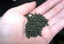 Кыргызстанда эми насвай колдонууга тыюу салынат