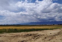 До 1 апреля в Кыргызстане трансформируют 25 тыс га земель, — президент