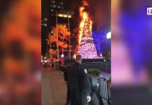Нью-Йоркто 49 жаштагы селсаяк балатыны өрттөп салды