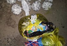 ВИДЕО: Ооганстанда өндүрүлгөн баңгизаттарды ташуу жана сатуу менен алектенген жаран кармалды