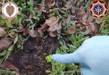 Интернет тармактары аркылуу ири өлчөмдөгү баңгизаттарды сатууну жөндөп алган интернет-дүкөндүн уюштуруучусу кармалды