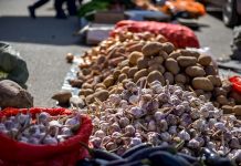 Бишкекте жылдын аягына чейин айыл чарба жарманкеси өткөрүлүп турат