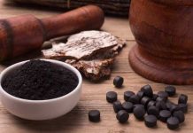 В КР запатентовали способ получения активированного угля из растений