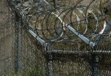 Тажикстандын чек арачылары тарабынан кармалган кыргызстандык жаран кайтарылды