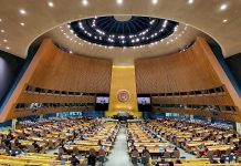 2022-жыл – “Тоолорду туруктуу өнүктүрүүнүн эл аралык жылы” деп жарыяланды