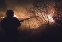 На объездной сгорело 6 га сухотравья и деревья