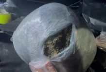 Ликвидирован очередной наркоканал. Изъято более 20 кг наркотиков