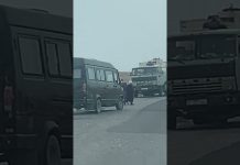 Кыргыз жаранын аткан тажик чек арачылары жазаланат