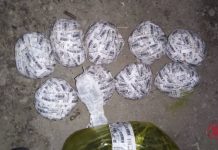 В Кыргызстане ликвидировали канал перевозки и сбыта гашиша