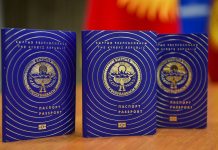 Изменился срок действия загранпаспортов для детей в Кыргызстане