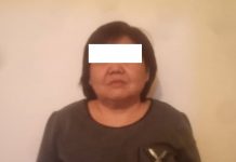 Сокулукта жерди үчүнчү жактарга саткан деген шек менен 58 жаштагы аял кармалды