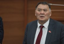 Камчыбек Жолдошбаев былтыр 609 миң 346 сом киреше тапкан