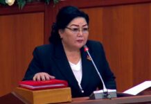 Депутат Нарматова: В связи с ситуацией на границе надо ограничить публикации в соцсетях