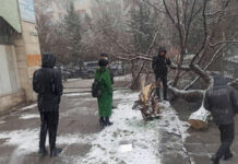 Бишкектин көрктөндүрүү эрежелерин бузгандар аныкталды