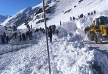 В Чаткале под лавиной погибли два сотрудника «Вертекс голд компани»