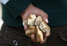 СМИ Таджикистана сообщили, что кыргызстанцы на границе забросали камнями гражданина РТ