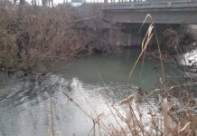 В БЧК нашли тело пропавшей три дня назад женщины